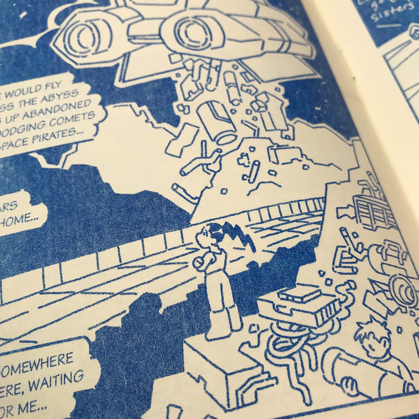 Distant Flower Chapter Zero - Risograph Zine