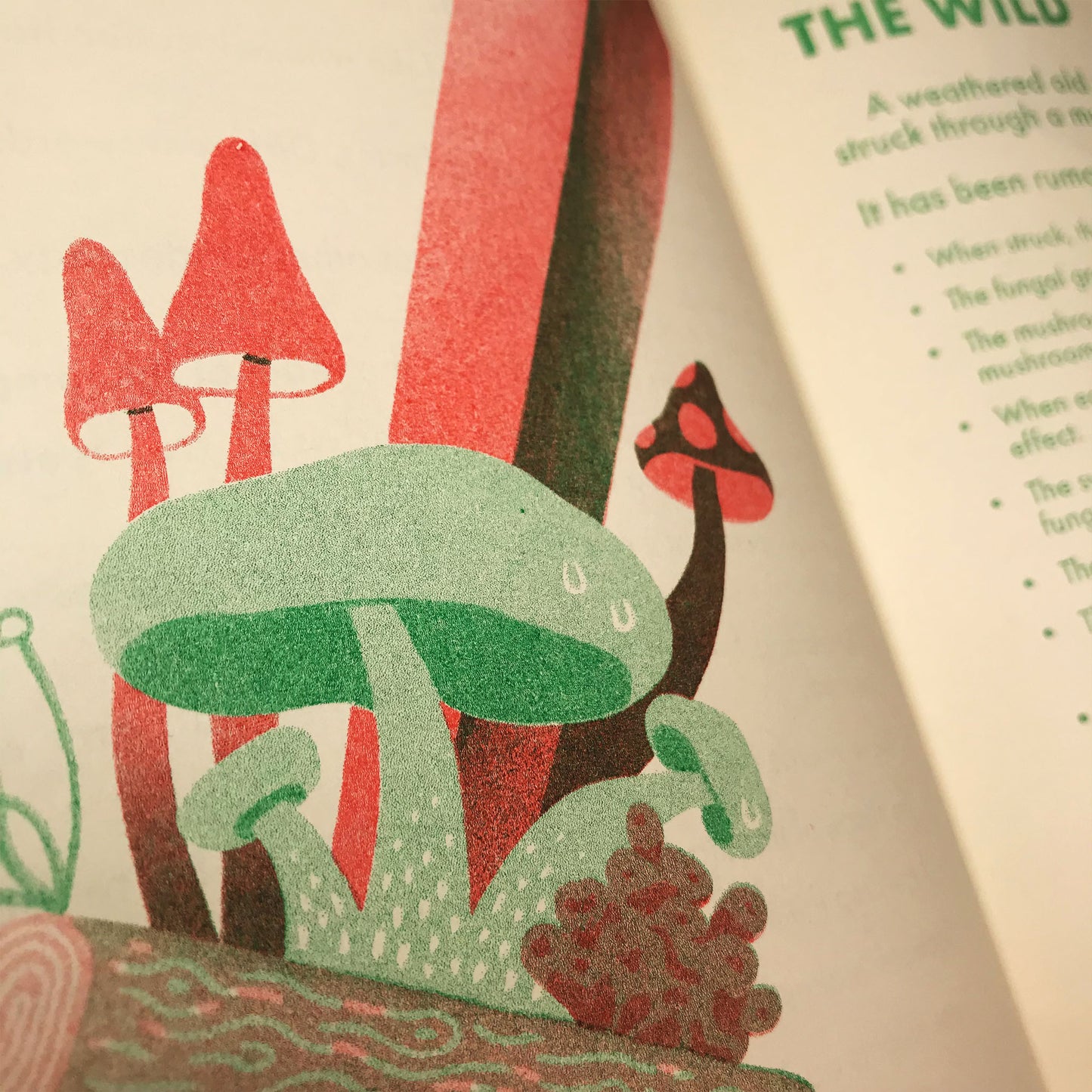 Rumored Blades - Risograph Zine