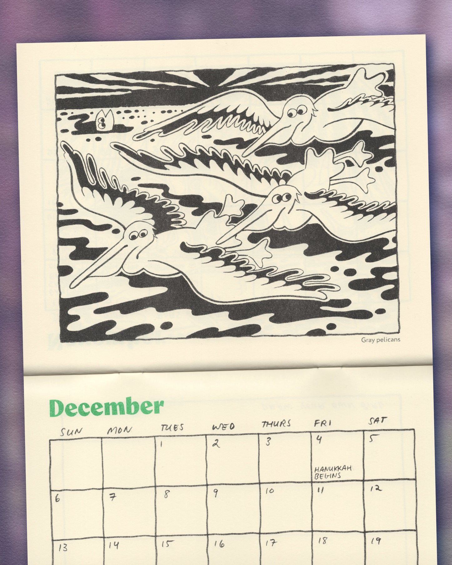 Birds Of 2026 Calendar