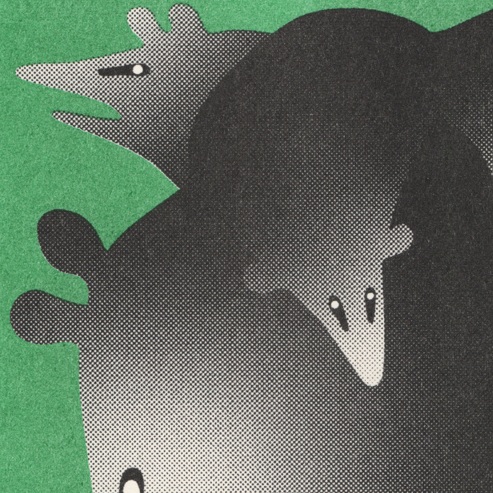 Six Opossums on a Fence