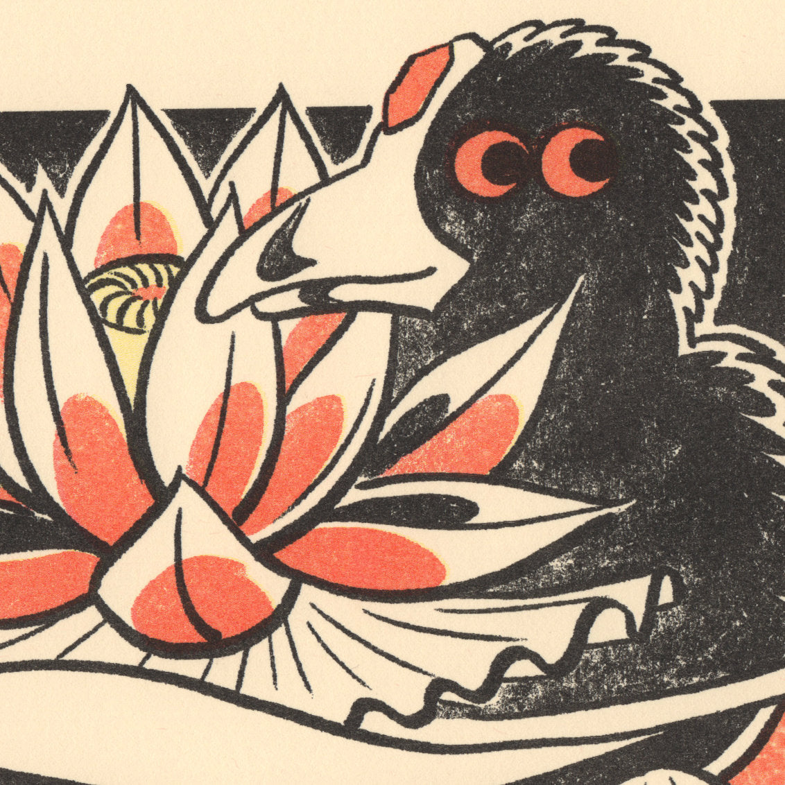 Coot among the Lotus