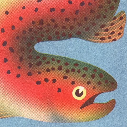 Rainbow Trout