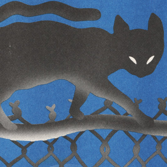 Cat on a Fence