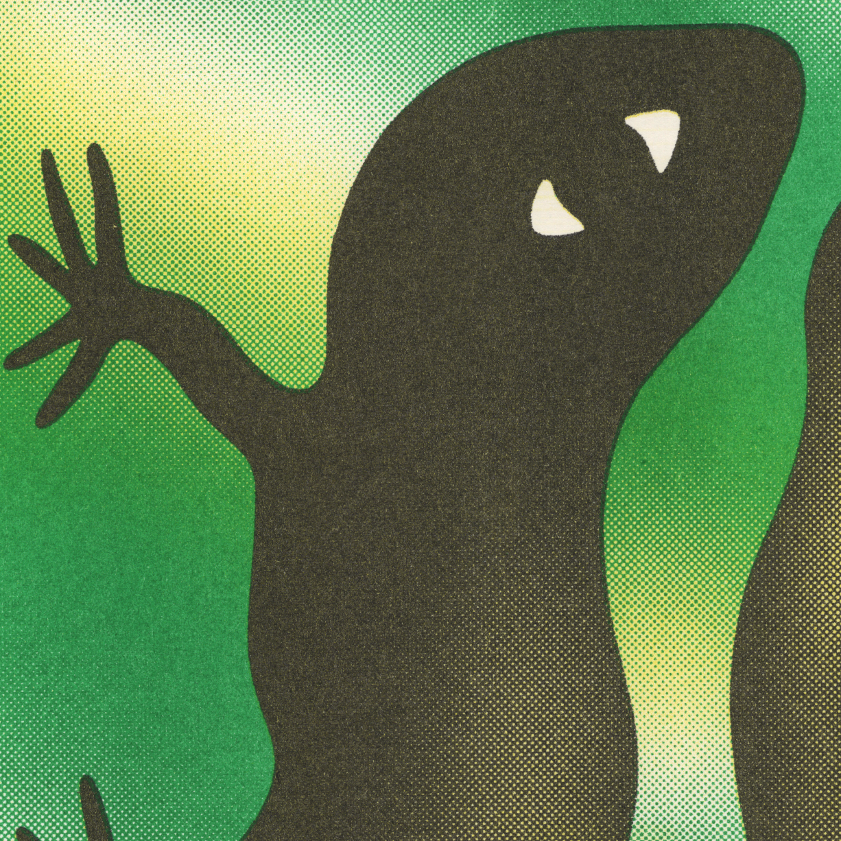 Spirited Lizard