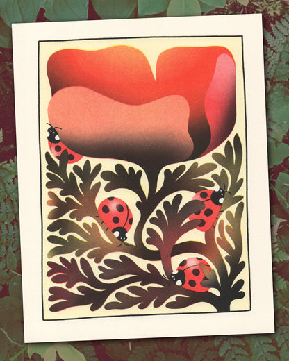 Ladybugs Under a Poppy