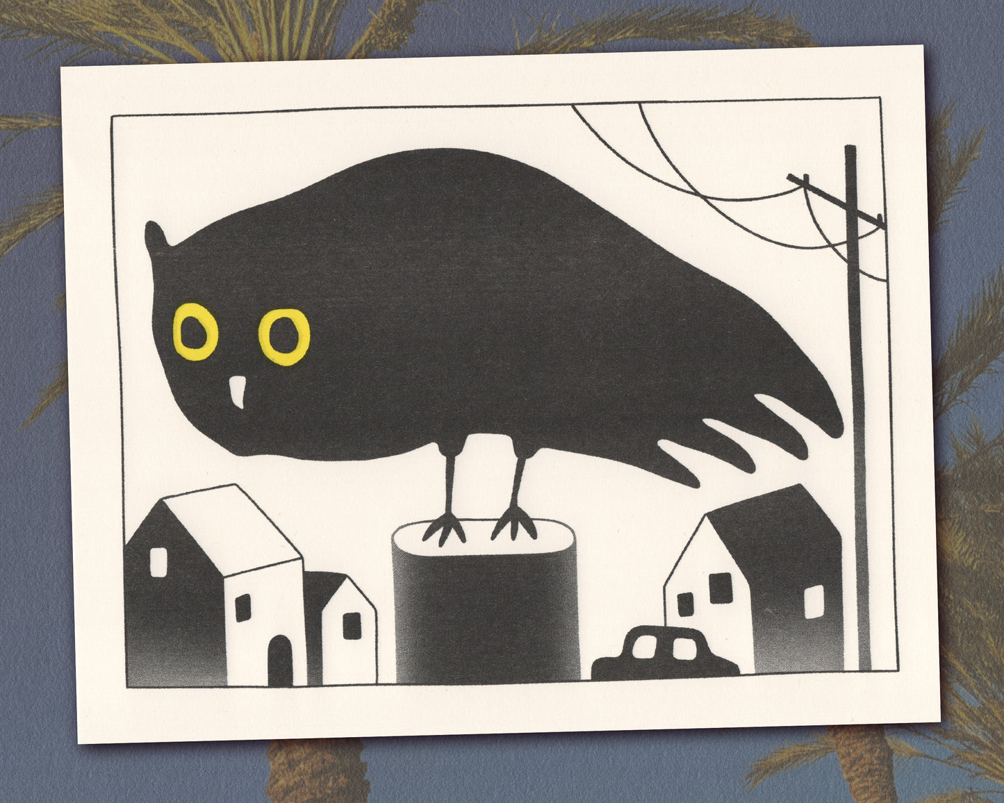 Owl in the Night