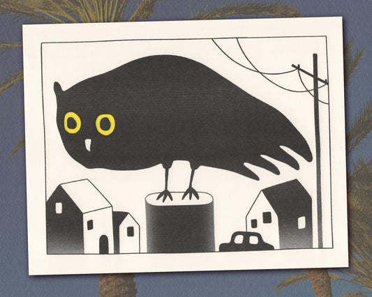 Owl in the Night