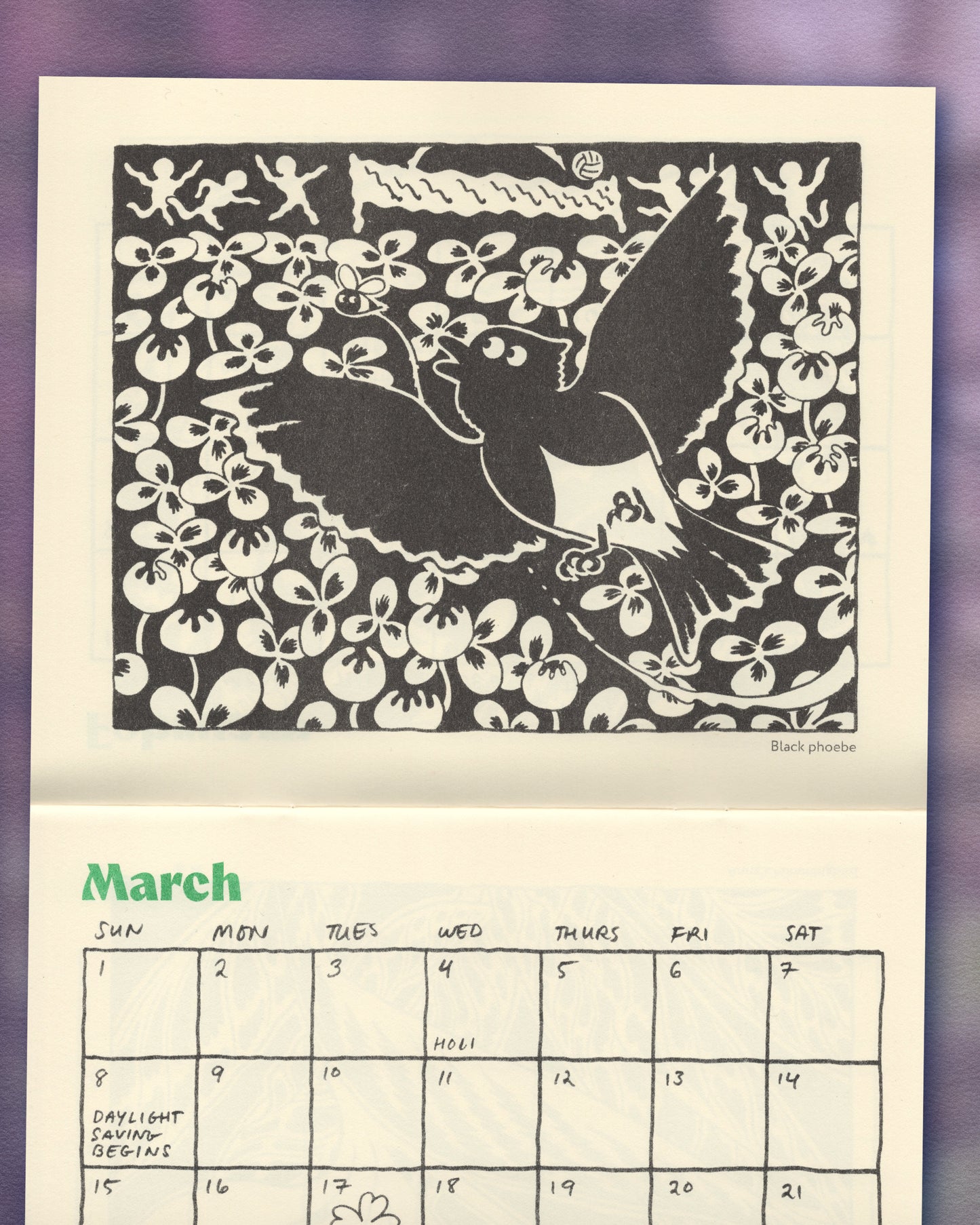 Birds Of 2026 Calendar