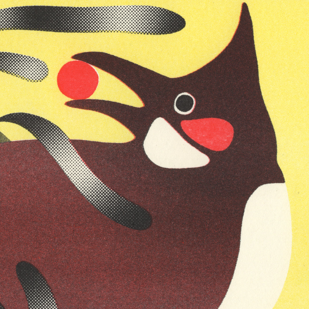 Neighborhood Bulbul