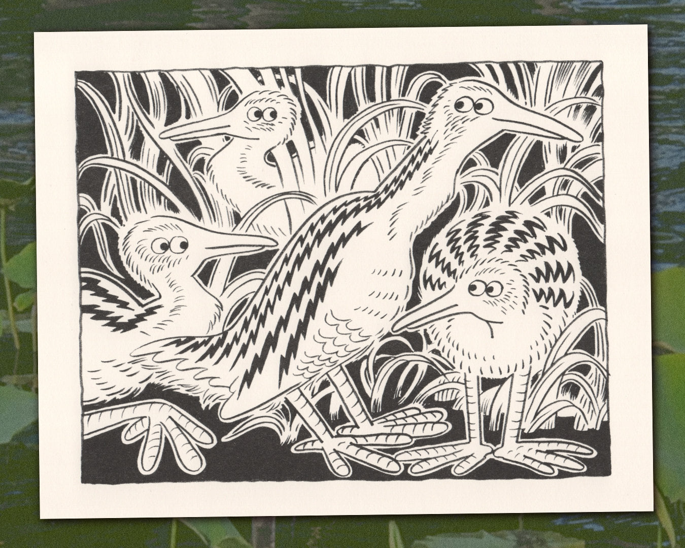 Ridgway Rails
