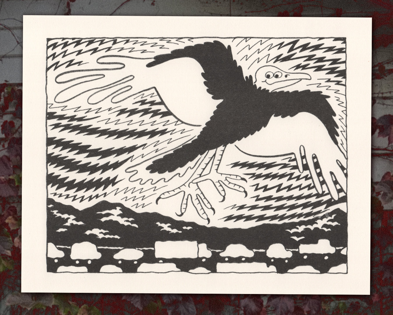 Turkey Vulture