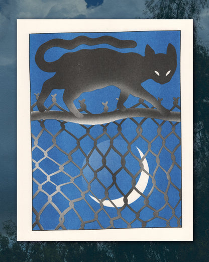 Cat on a Fence