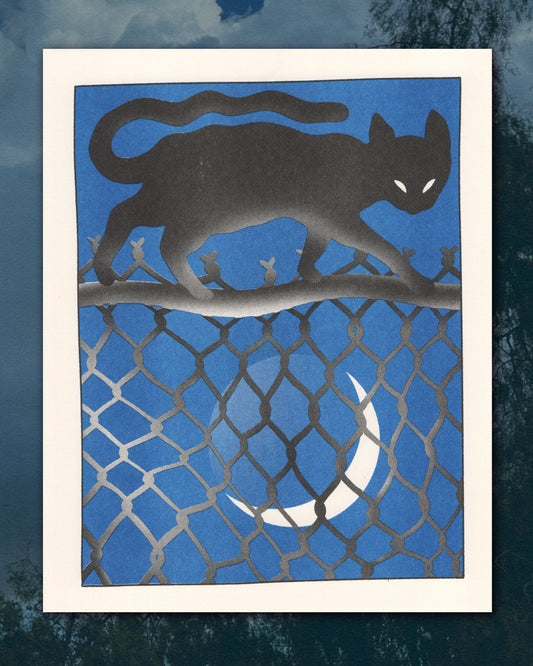 Cat on a Fence