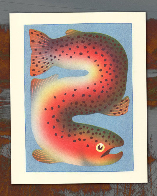 Rainbow Trout