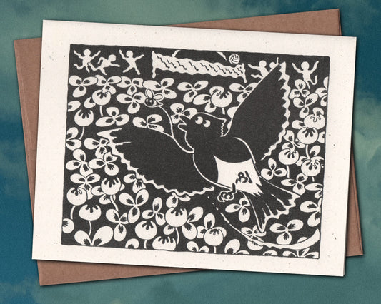 Black Phoebe Greeting Card