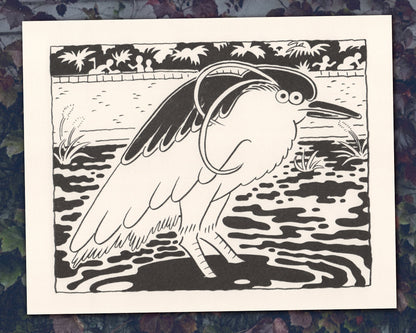 Black-crowned Night Heron