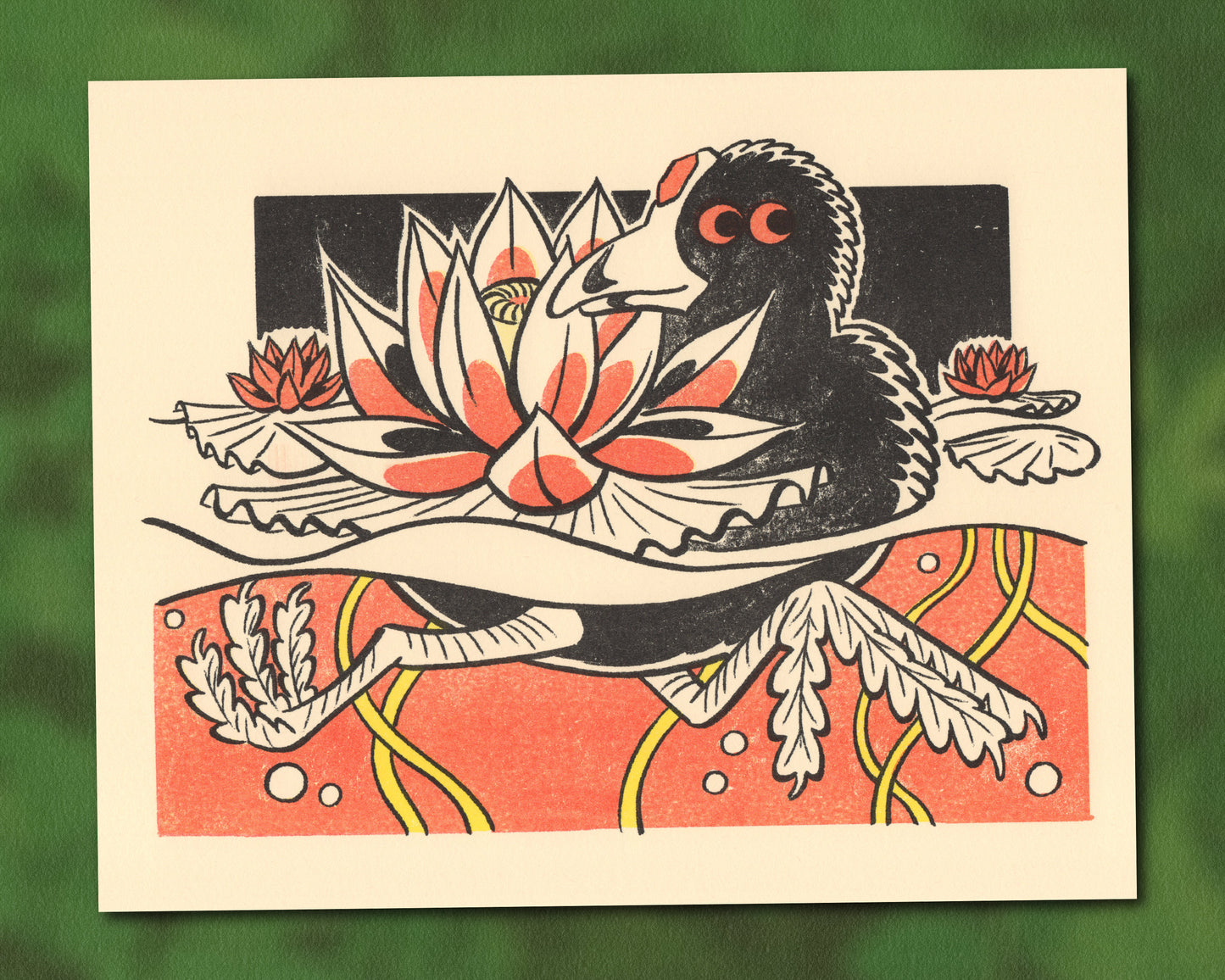 Coot among the Lotus