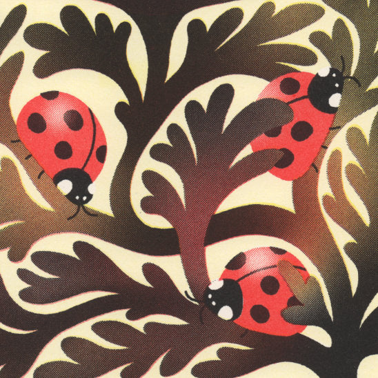 Ladybugs Under a Poppy