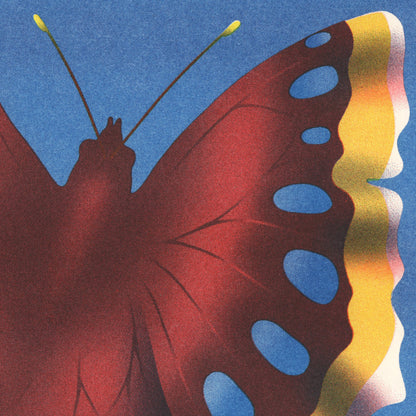 Mourning Cloak