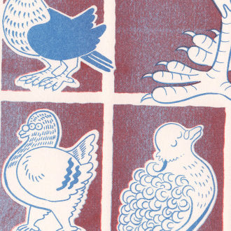 Fancy Pigeons