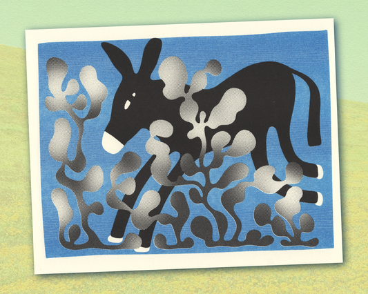 Dashing Donkey