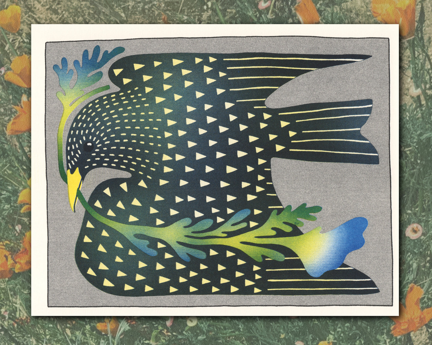 Starling